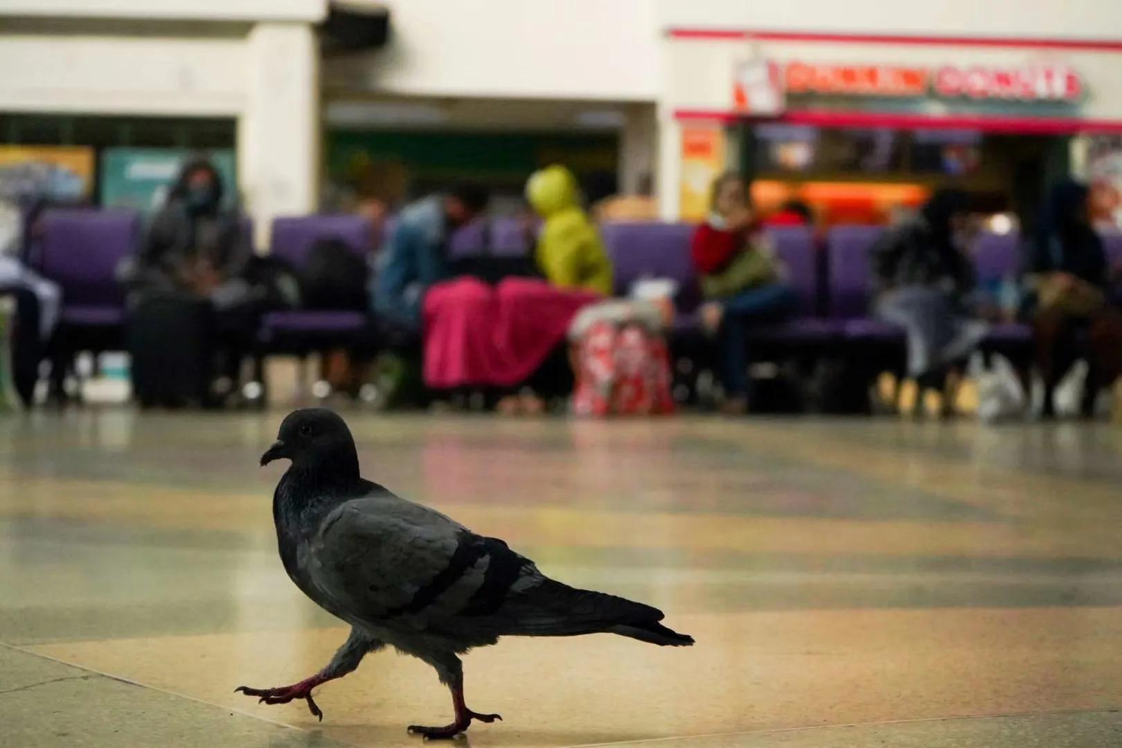 泰国生活的点点滴滴,泰国工作的真实生活