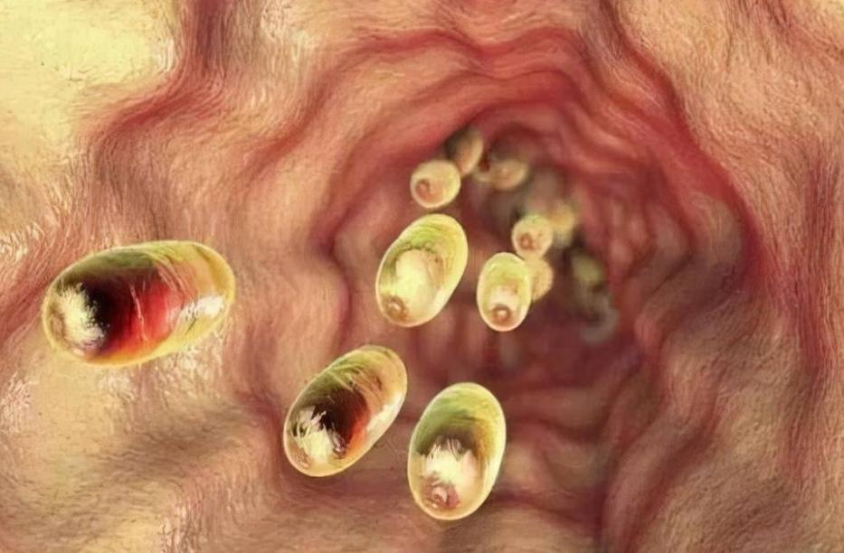 耳朵总是痒痒是身体哪里出问题了,耳朵经常痒得很是什么原因