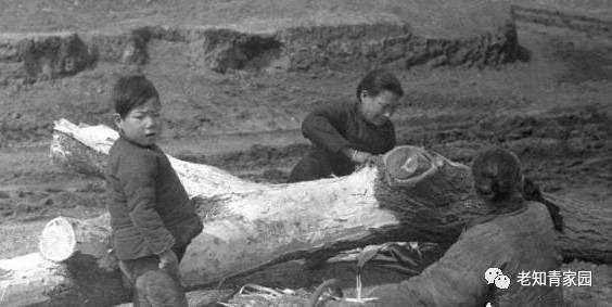 60年代中国人的生活视频,60年代生活记录完整版