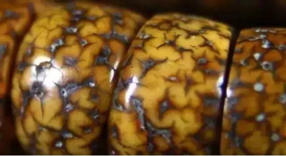 星月假开片,怎么判断星月是真是假