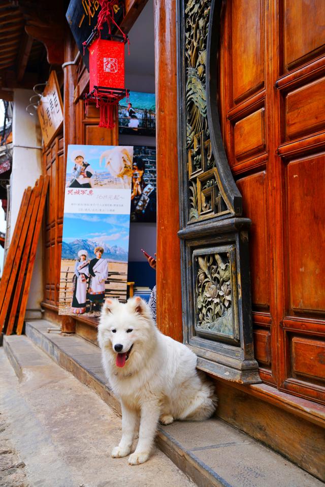 丽江古城为什么被称为高原姑苏,云南千年临安古城