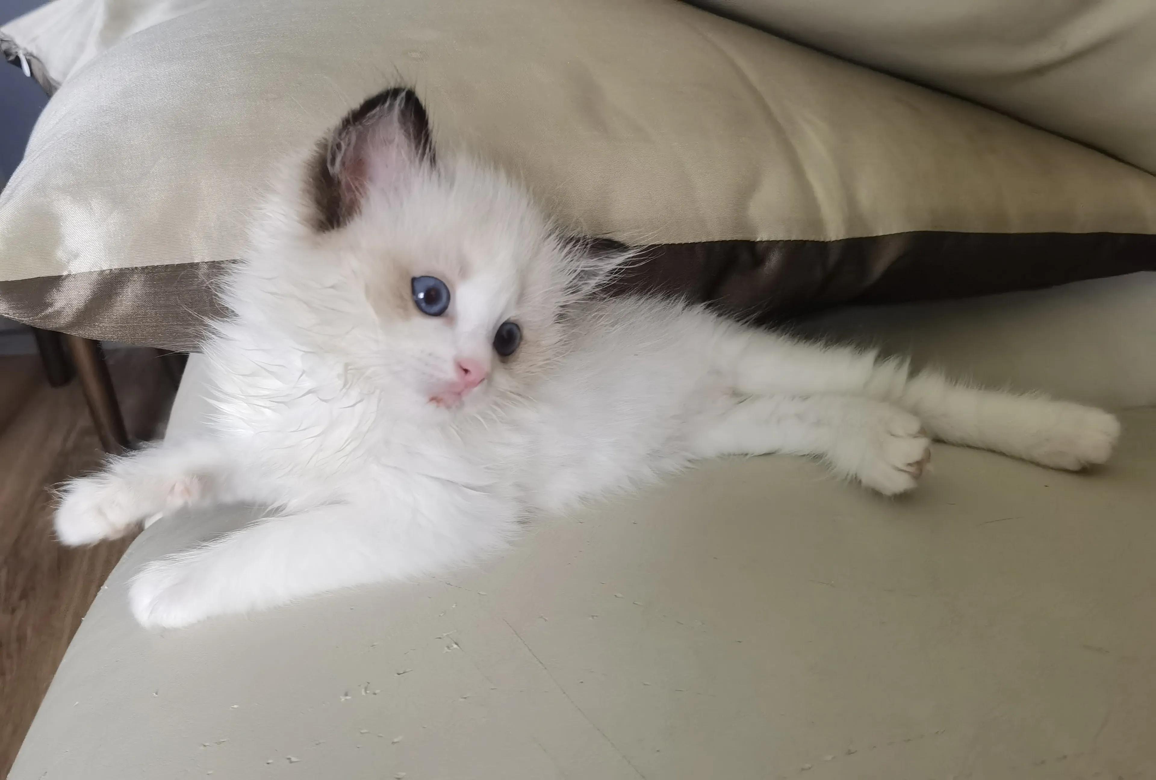 2022，敢问路在何方