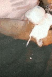 站着走路腰不舒服坐着没事,走路累了倒走能缓解吗