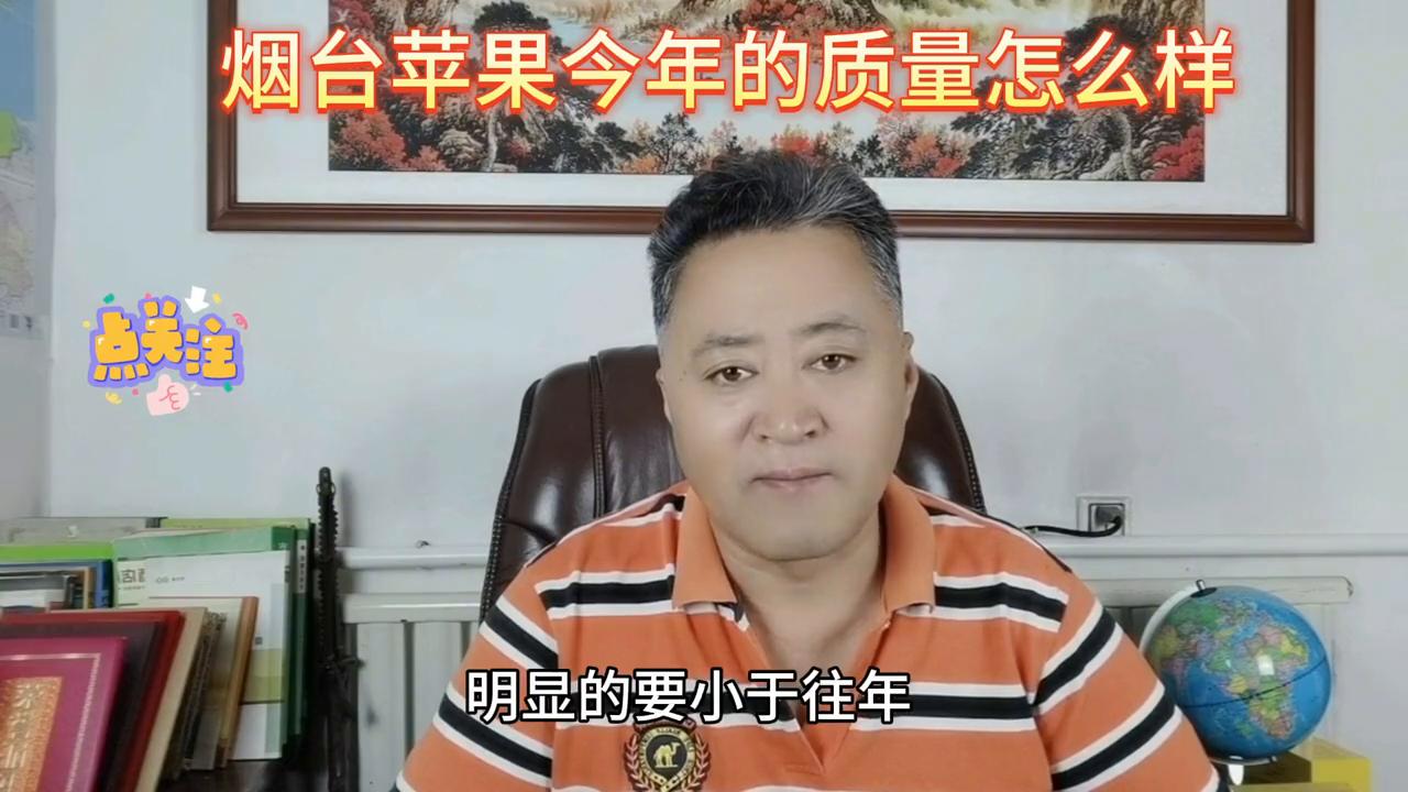 洛川苹果和烟台苹果哪个好,阿克苏苹果和烟台苹果哪个好