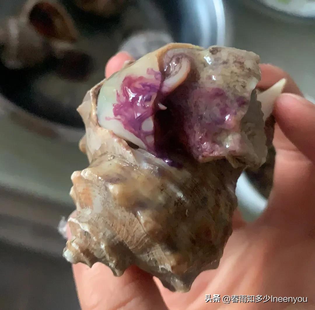 生活本就是不停的奔波,元旦将至忙忙碌碌