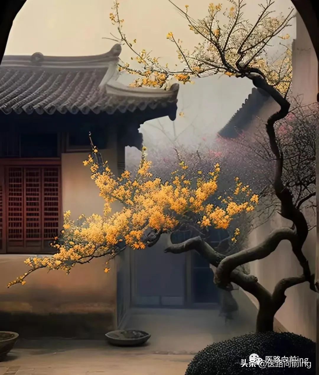 治疗嘴歪的气穴,民间治口眼歪斜的偏方