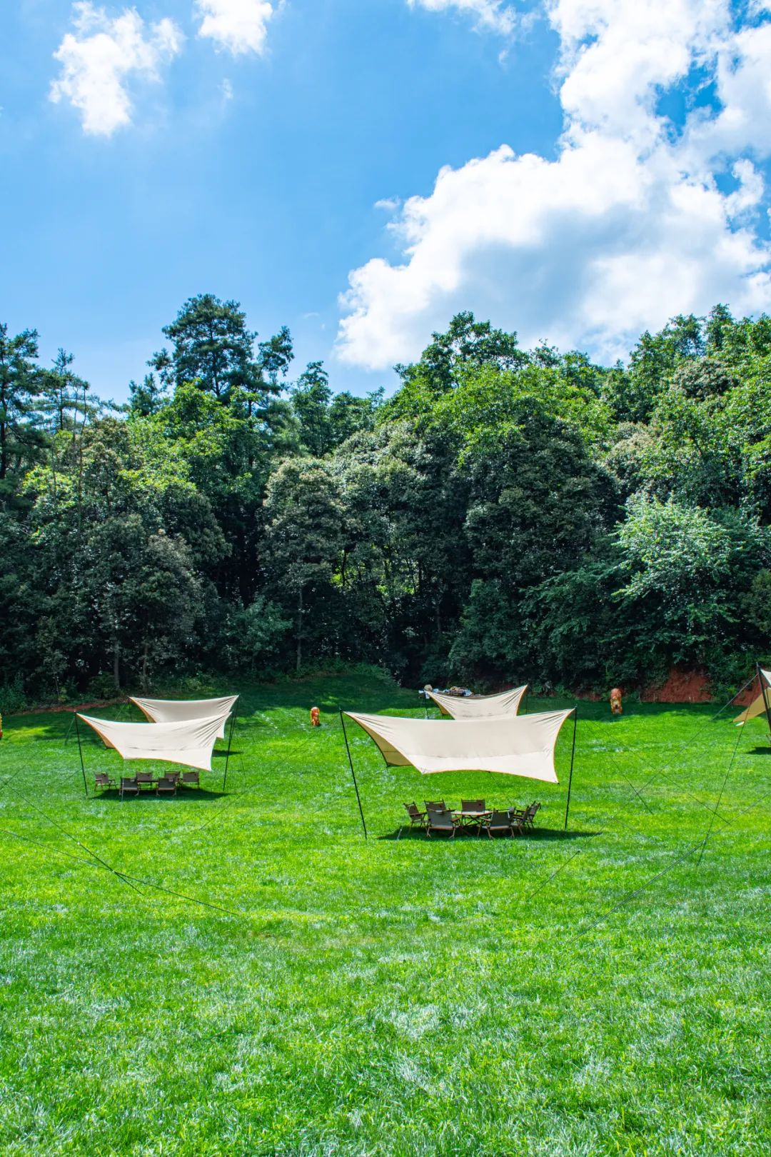 昆明五一露营建议去哪玩,昆明周边郊游露营