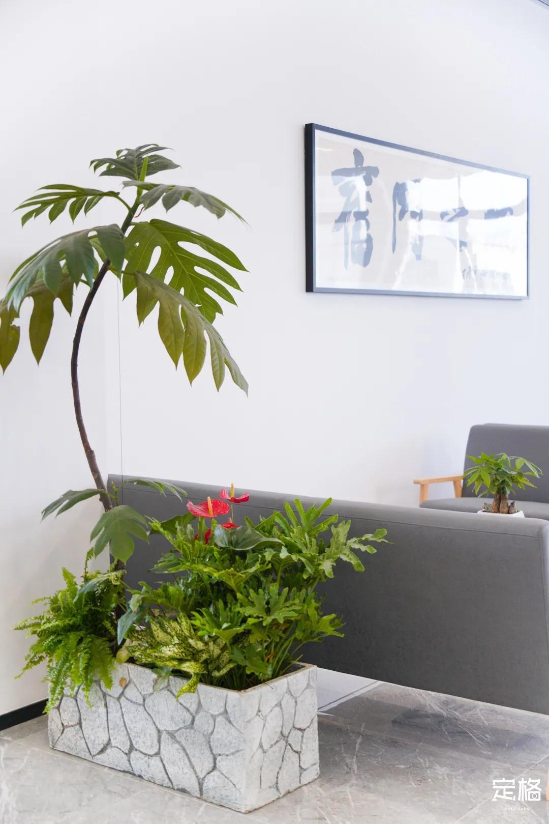 深圳图书馆北馆,深圳图书馆预约