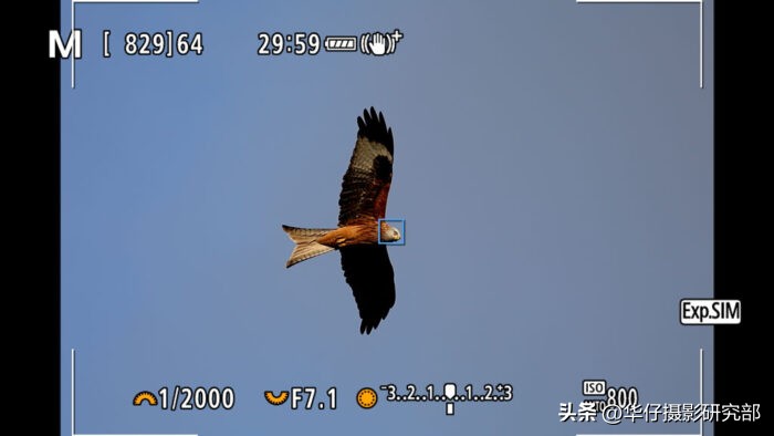 买尼康z6ii还是z5,尼康z6ii和佳能r6