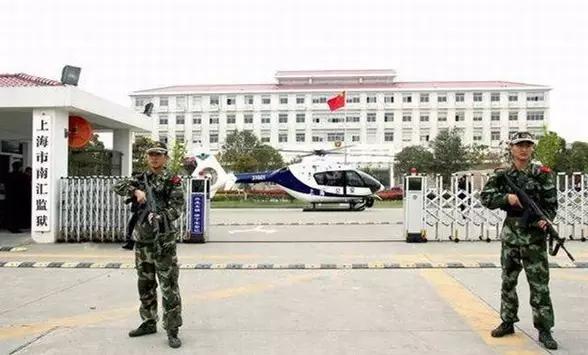 鑺滄箹鐏棬澶ф绾疄,鑺滄箹瑕佹渚︾牬绾疄