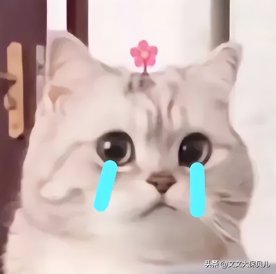 根管治疗、种牙补牙都能赔：成年人看牙的勇气，都是牙齿保险给的