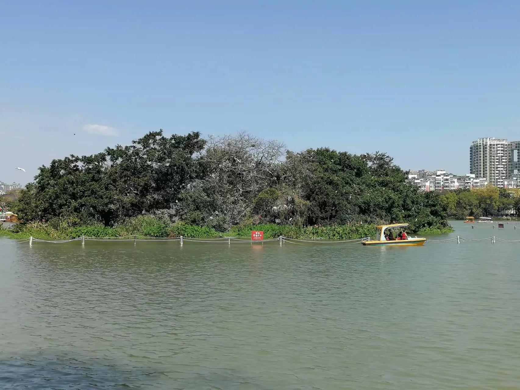 美丽的鸟岛简介,美丽的鸟岛