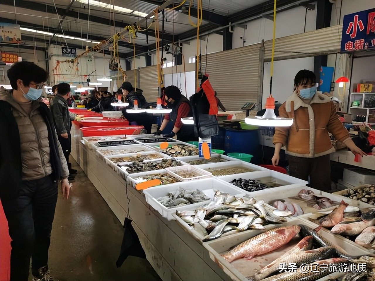 锦州哪的海鲜便宜又实惠,锦州海鲜最便宜