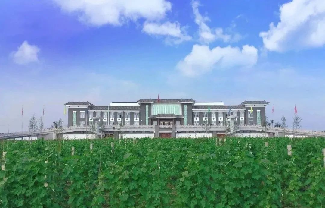 大山深处有人家！住民宿，解乡愁，游夏都~