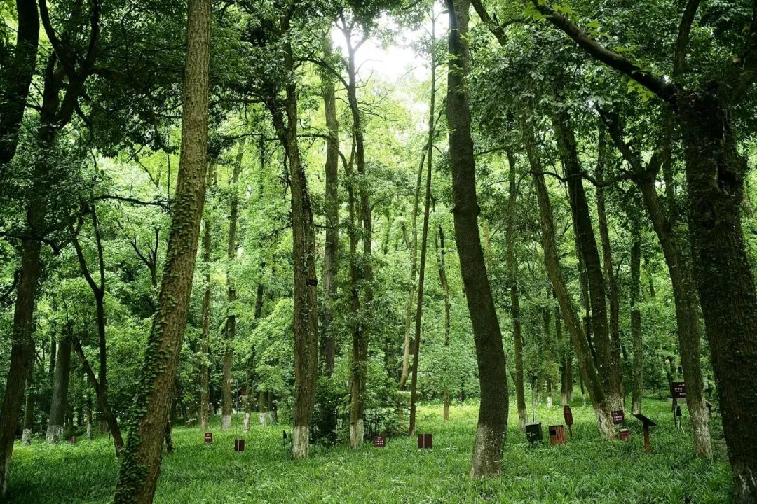浙江市区度假酒店推荐,浙江轻奢酒店值得推荐