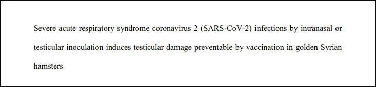新冠永久伤害男性该怎么恢复,新冠损害男性生育能力能恢复吗