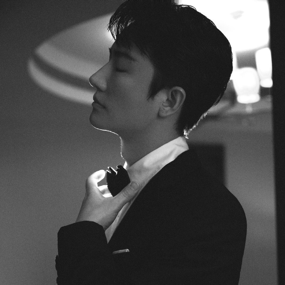 殷桃出席活动的造型,殷桃出席活动服装