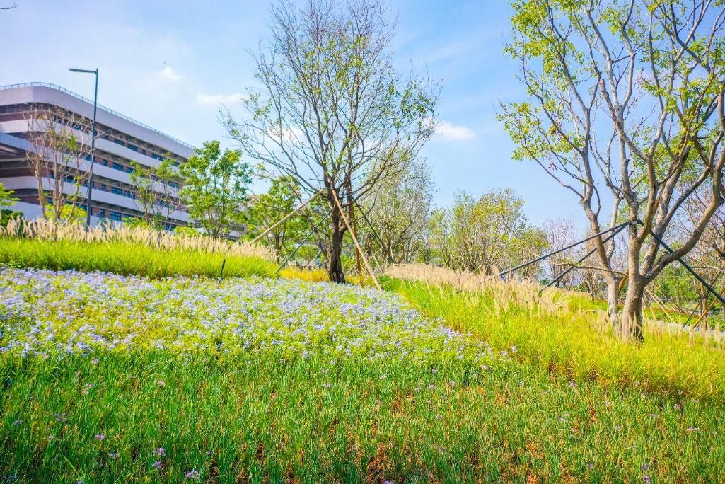 深圳坪山大山陂主题公园游,深圳坪山汤坑水公园