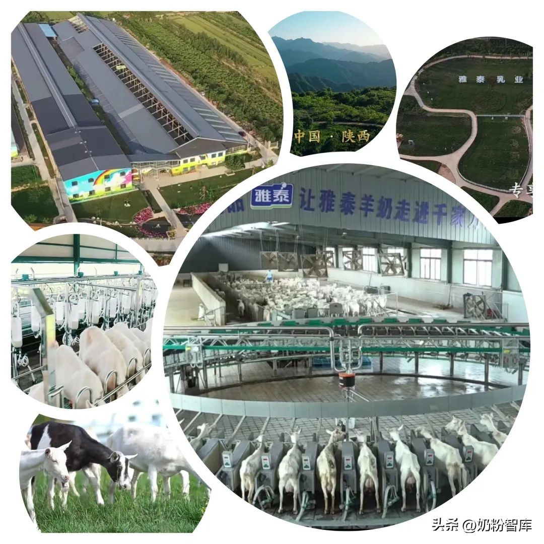 差异化、更吸睛！雅泰携全系产品亮相2023CBME！