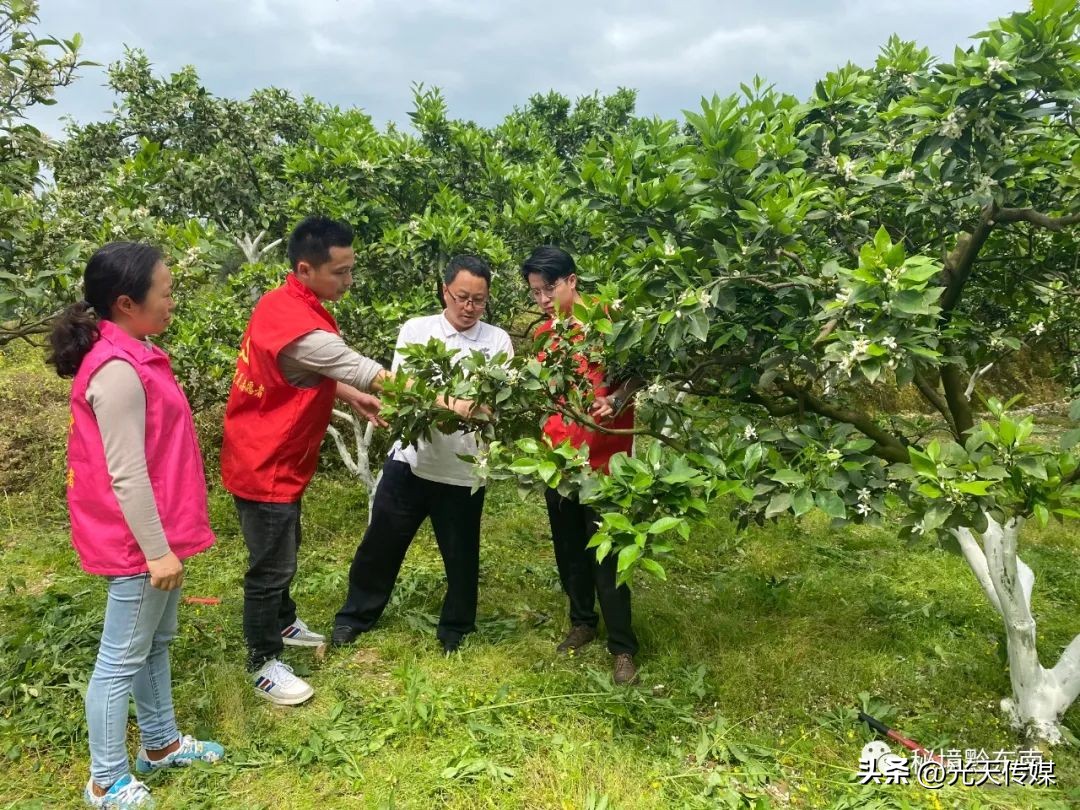 黄平县乡村振兴,黄平县纸房乡各村