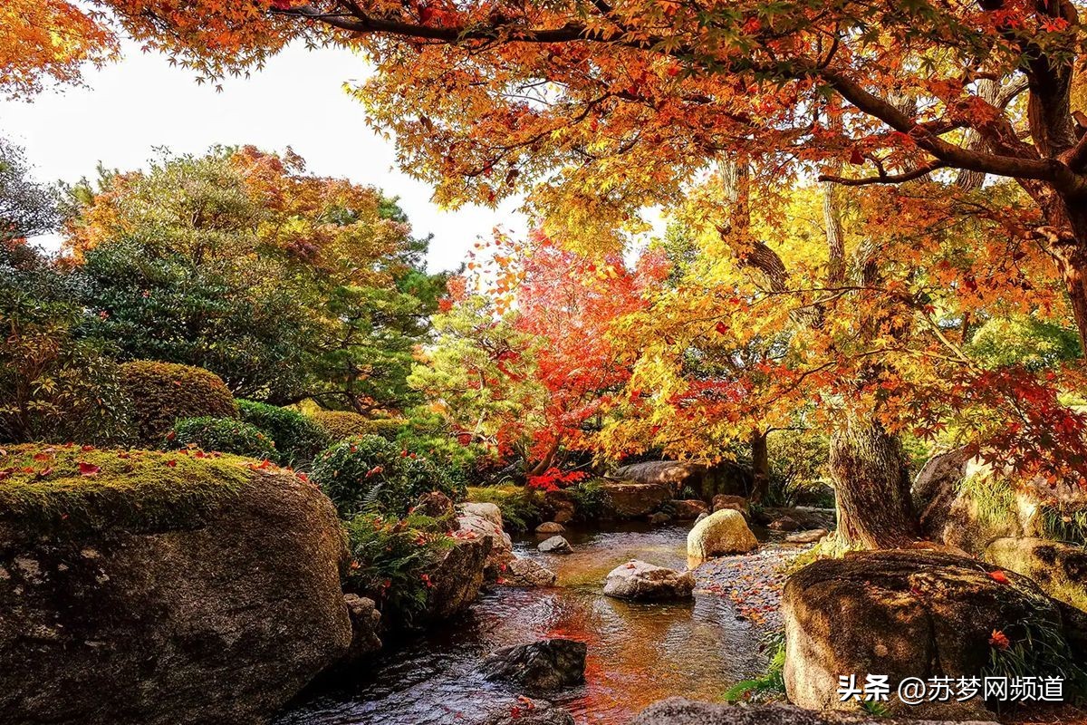 绂忓唸kota,绂忓唸zumba