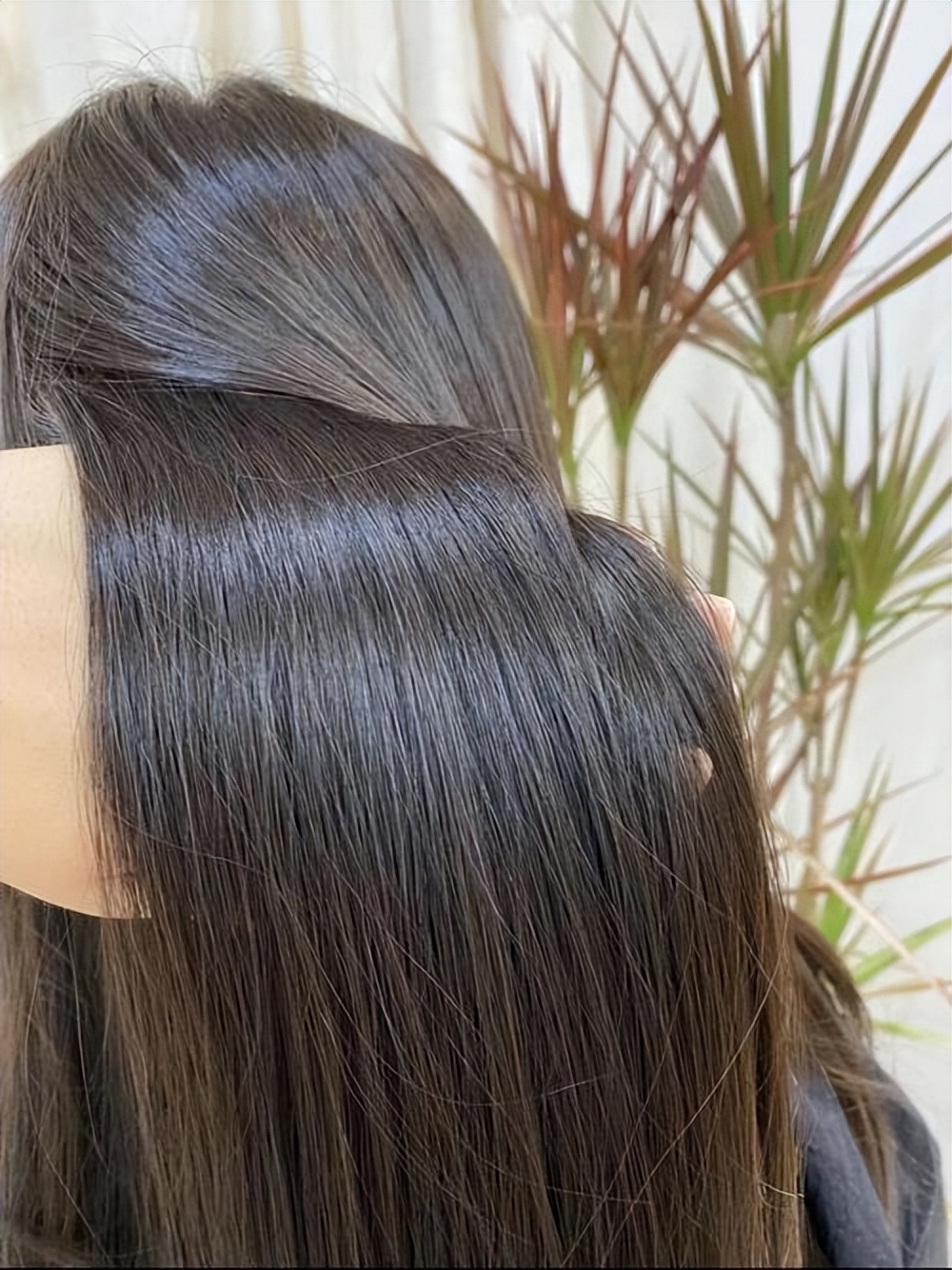 洗发水好评榜：卡诗去头油，欧舒丹抚毛躁，最后一款功效很全面