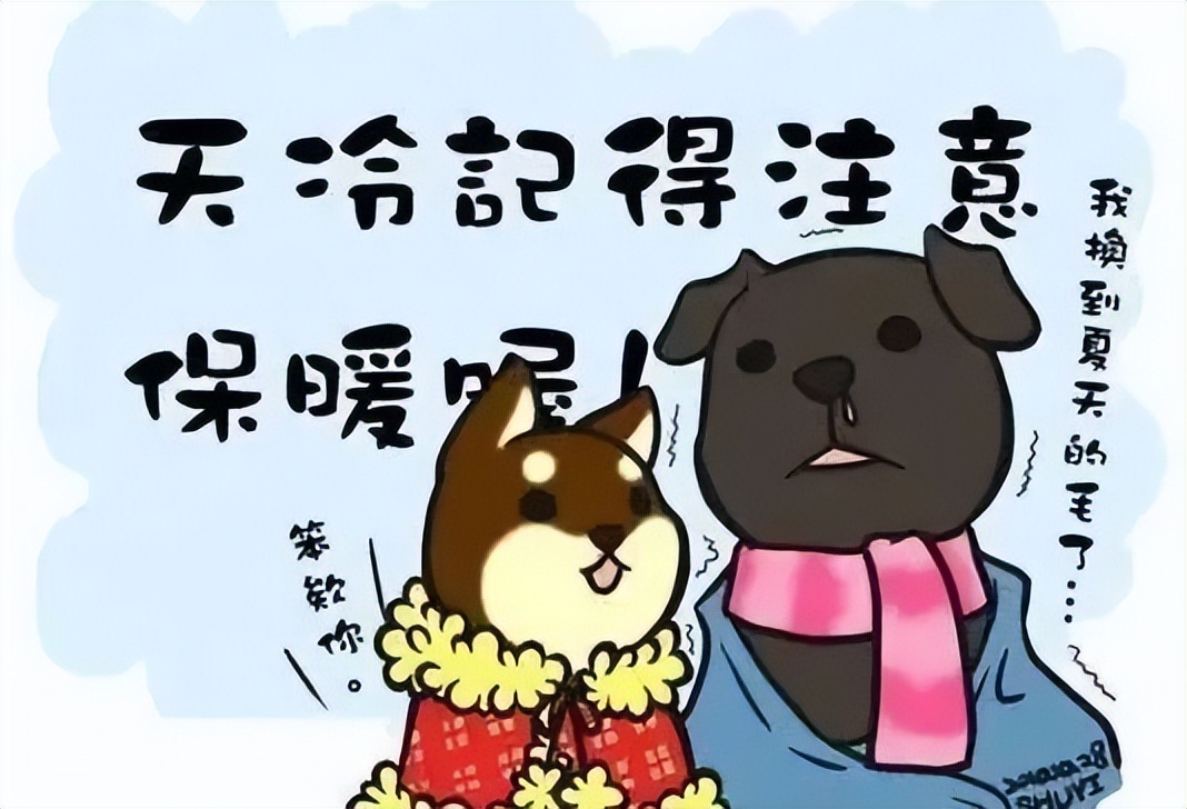 今日24节气大雪图片,24节气大雪小视频