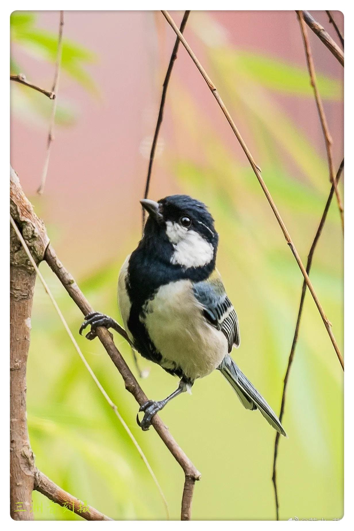 上海国际汽车城安亭,上海安亭国际汽车城