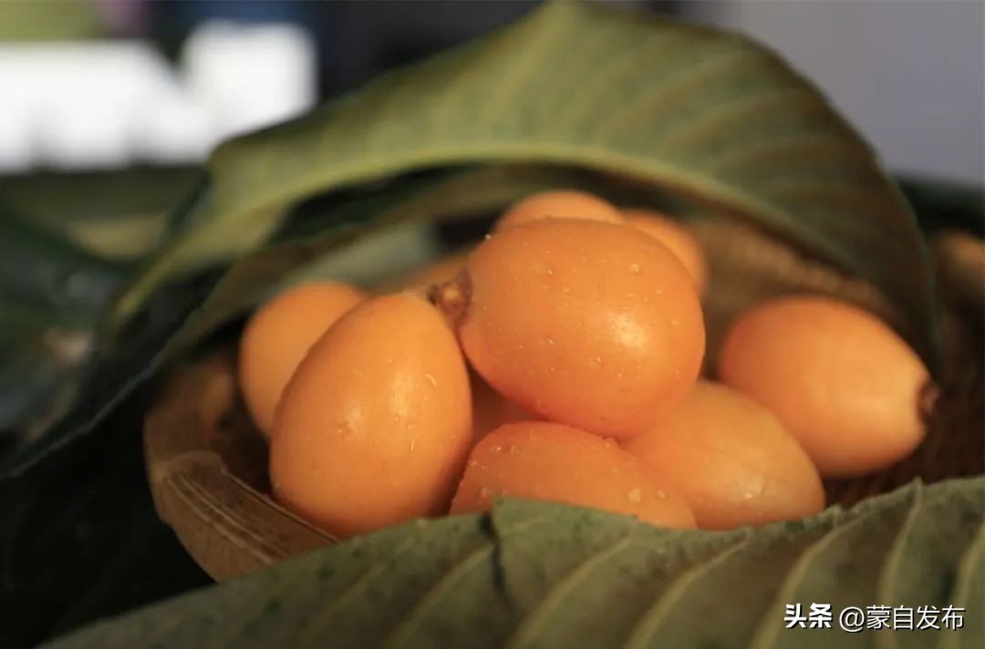 坐上高铁游蒙自|天为罗帐地为毡满天星斗伴我眠