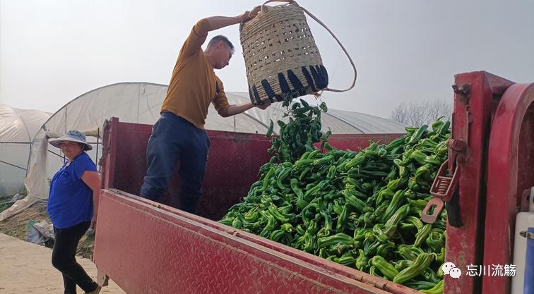 烟火人间藁城,烟火人间高唐