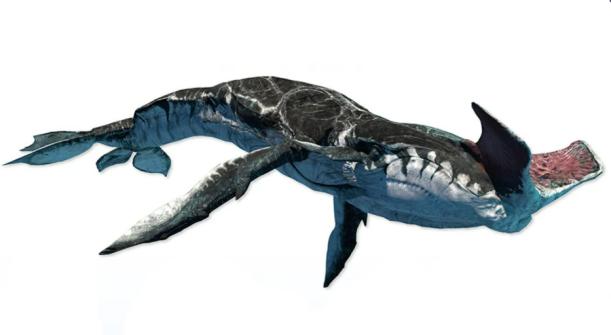 阿凡达2收服海怪,阿凡达驯服海怪