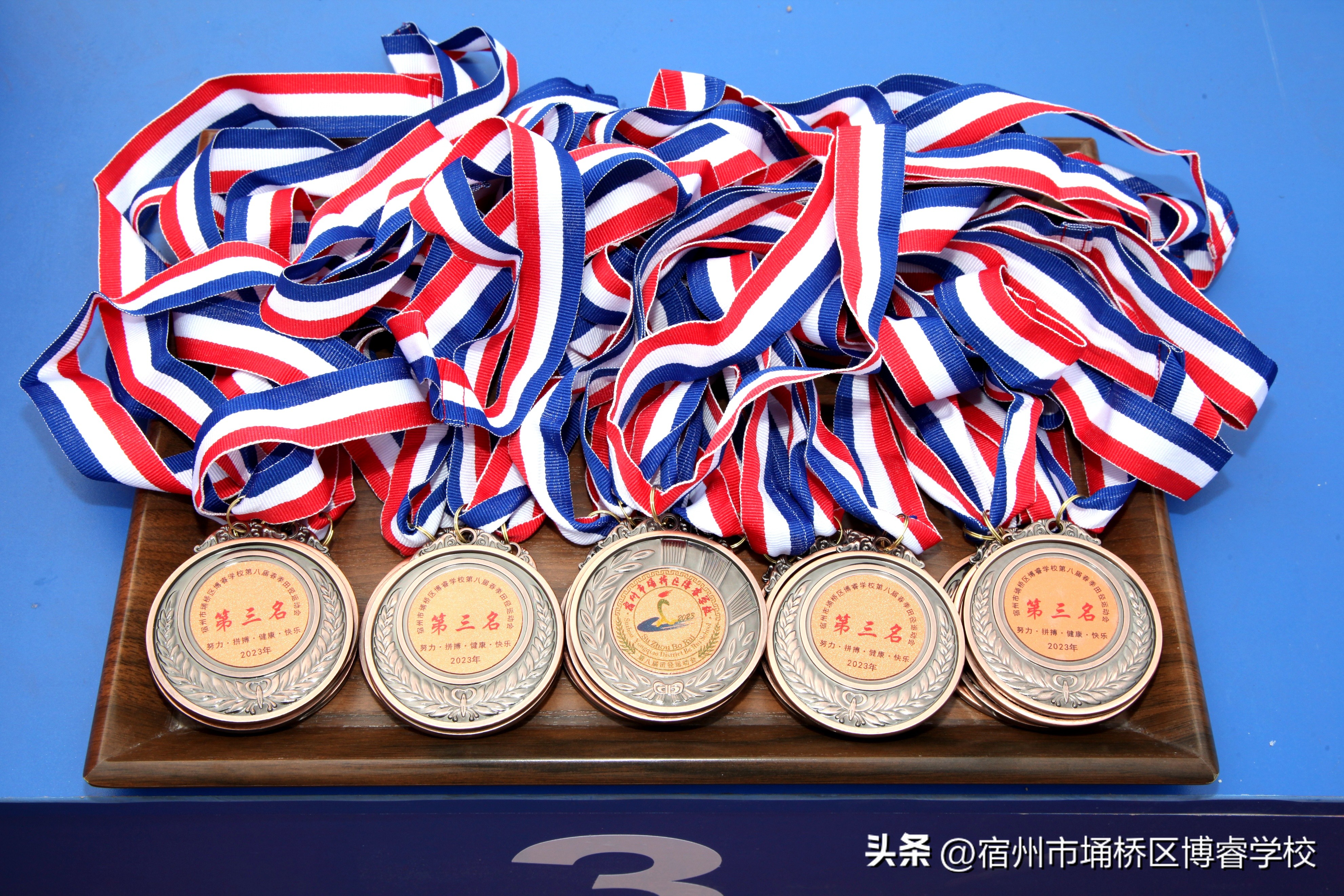 宿州市埇桥区博瑞学校运动会,博睿运动会