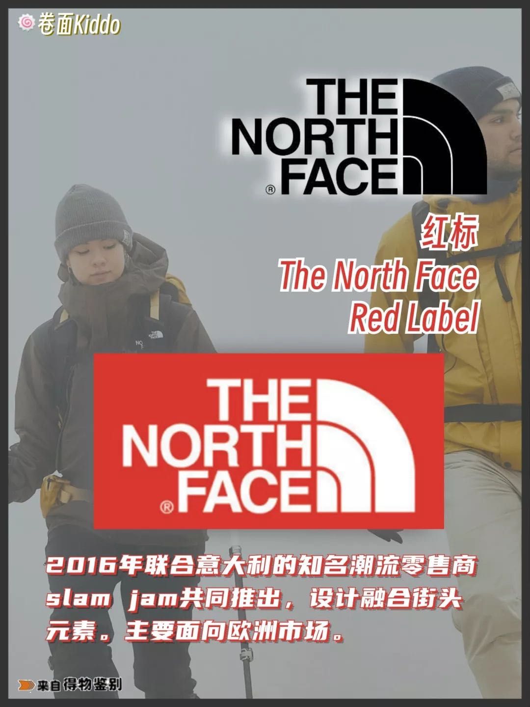 thenorthface北极系列,thenorthface什么牌子