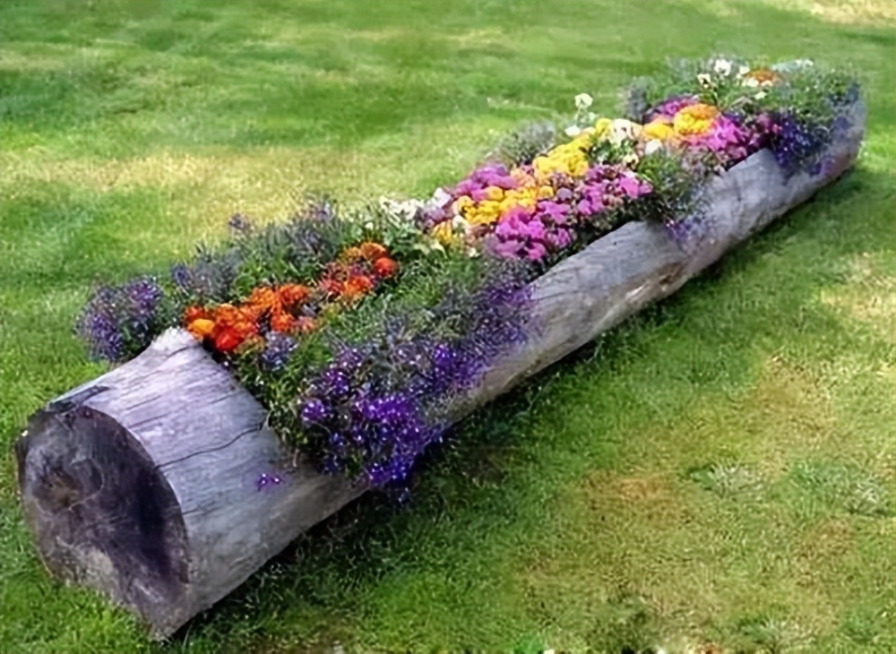 兰永三河口悉地塬野生态农林公园,坐在山头看风景
