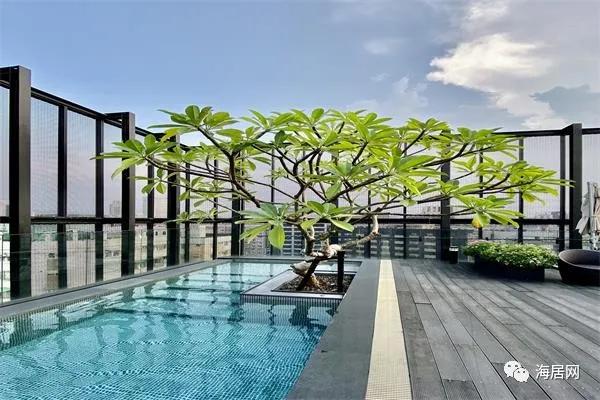 旅居式养生度假,旅居业趋势