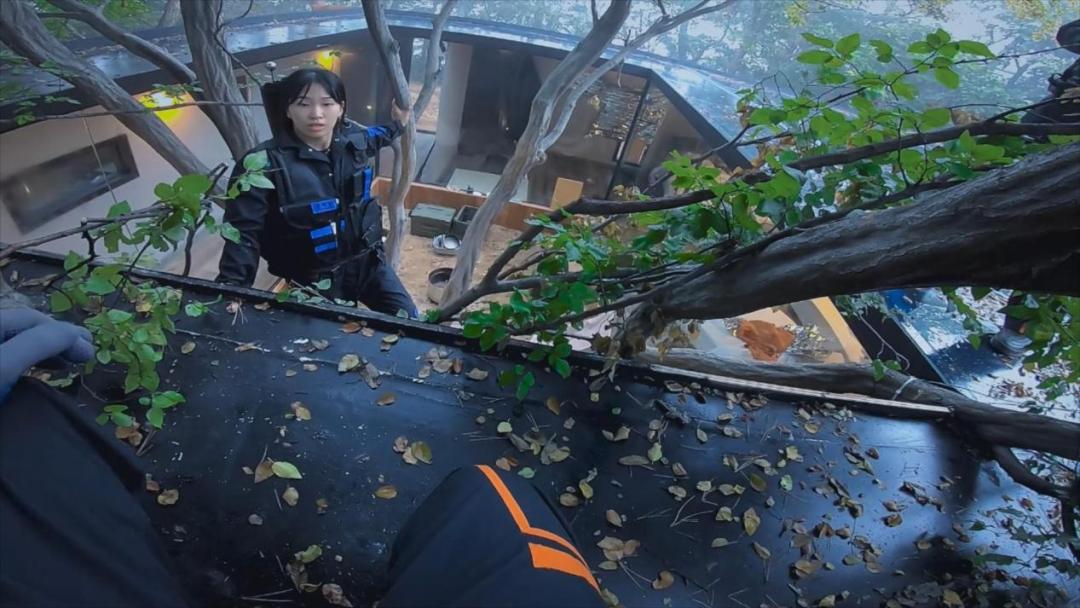 9.6分还在涨，国综又双叒输给韩国了