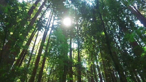 冰城夏都|拒绝宅在家，这几个周边游好去处快收藏！