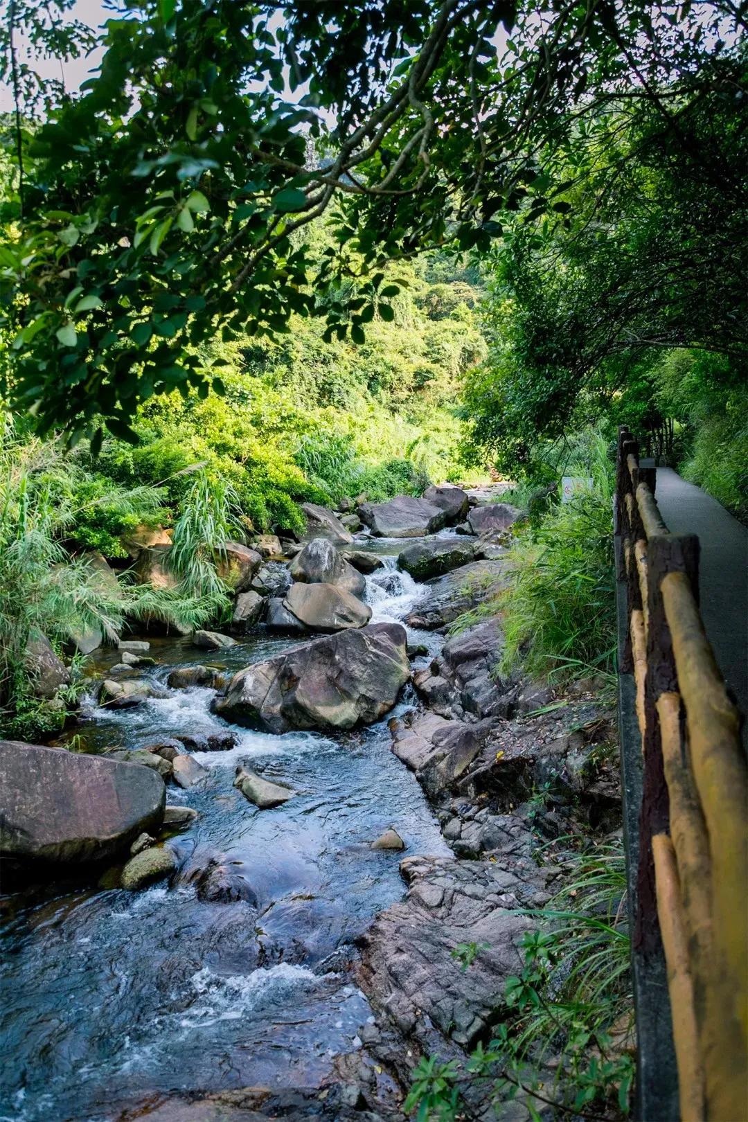 深圳最值得爬的景点,深圳十大最值得爬的山
