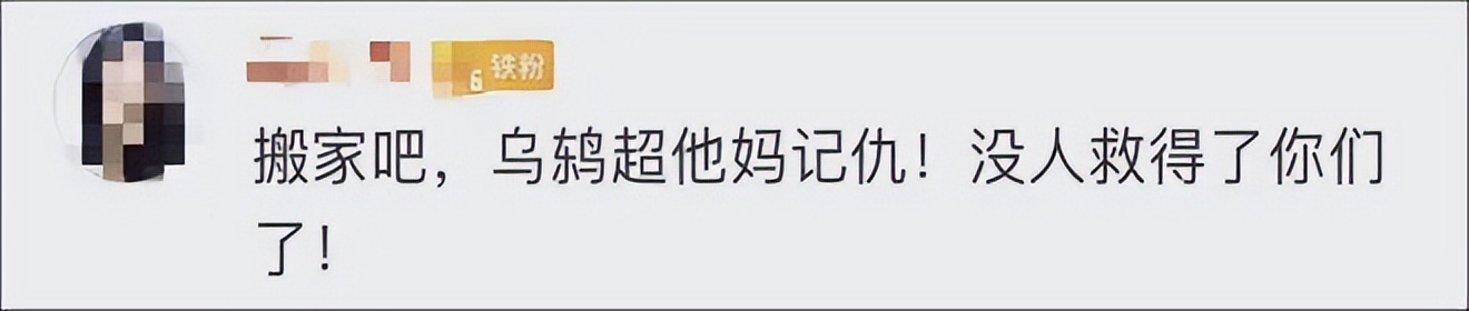 我家猫骂了一只鸟，被它追着喷了五天屎！网友：赶紧搬家吧...