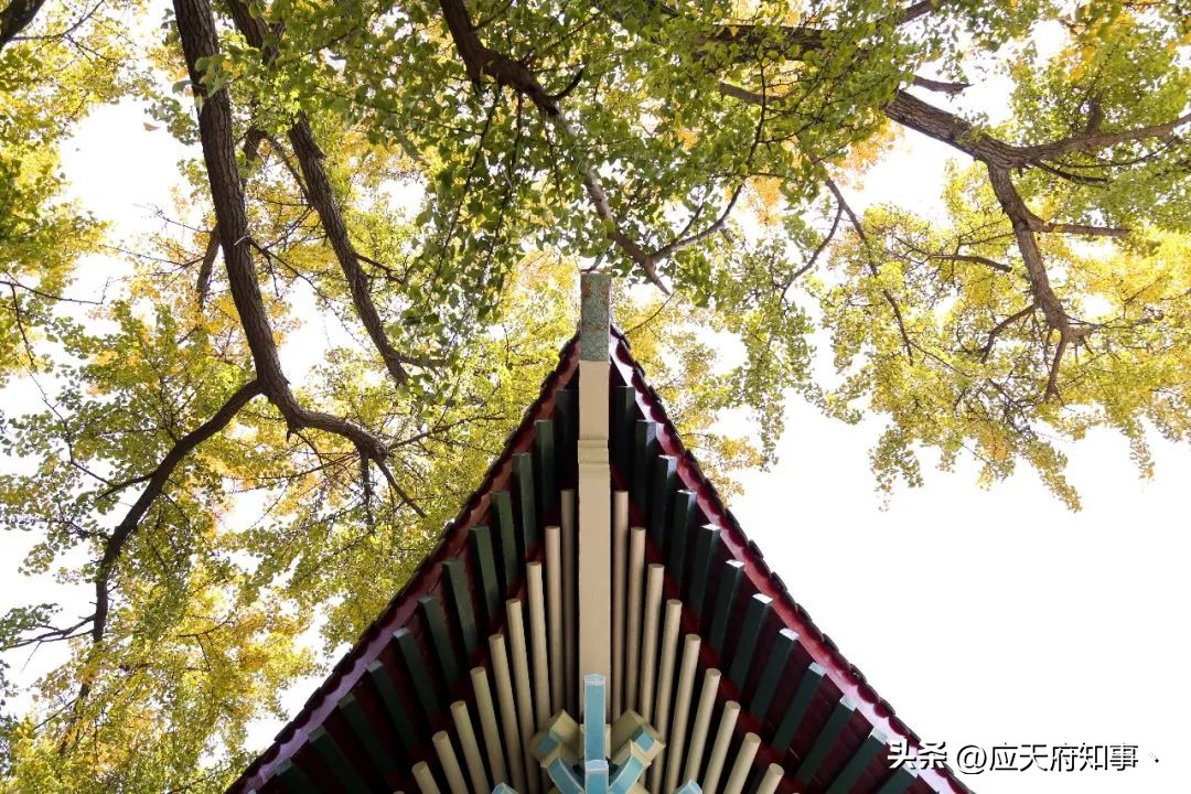 来南京不能错过的小众打卡地,南京江宁小众打卡点