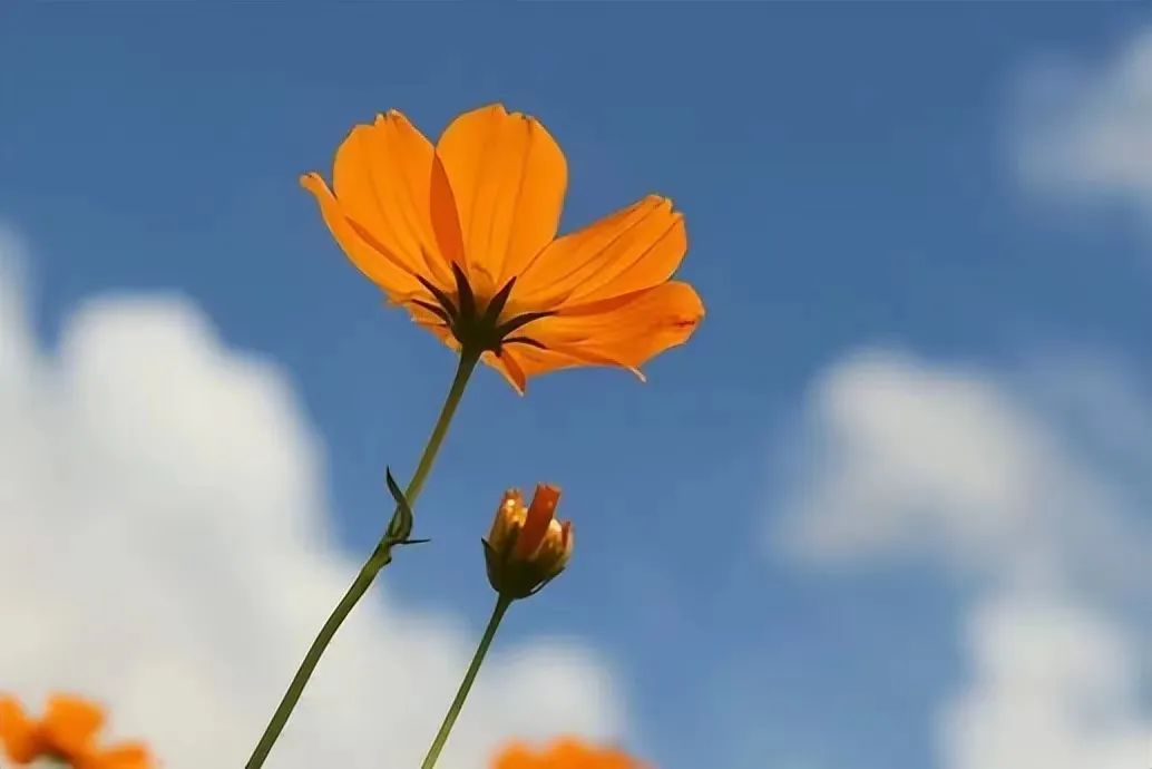 男女之间的纯洁友谊是懂得不越界,男女之间纯洁的友谊越界了怎么办