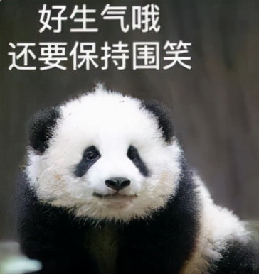 被爆离婚夫妇的瓜,被爆离婚明星夫妻