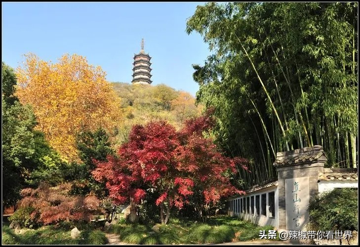 镇江一座美的让人吃醋的城市路牌,镇江一座美的让你吃醋的城市