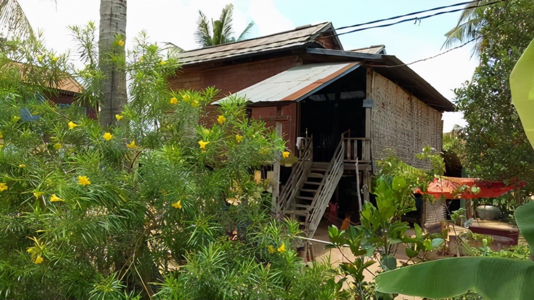 了解越南美女特点 (越南美女成灾是真的吗)
