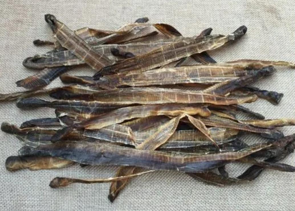 电蚯蚓为什么犯法,电蚯蚓月入过万