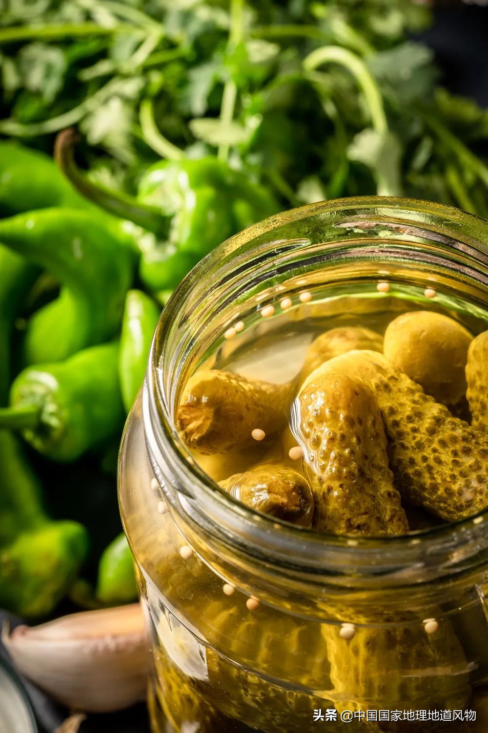 中国的罐头在哪里,中国罐头分布地区