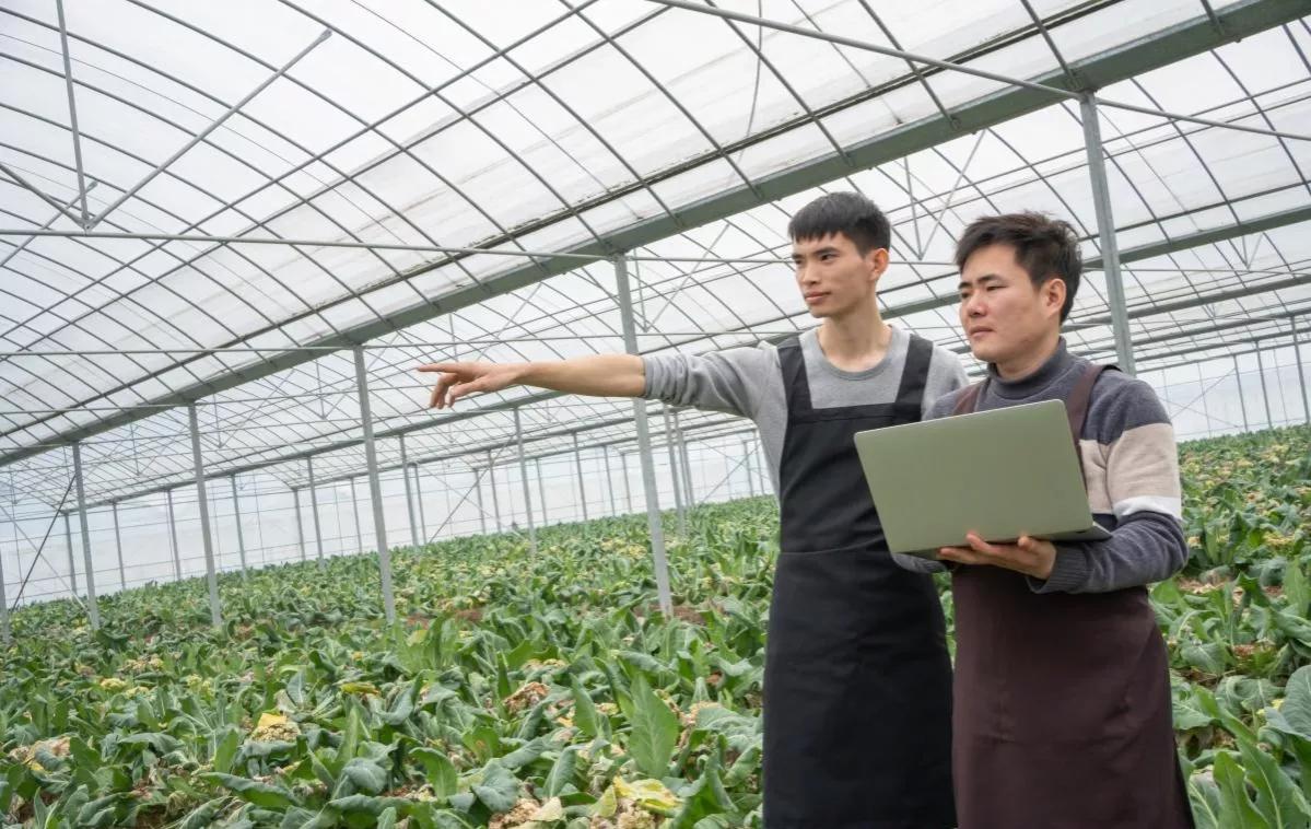 现在为什么种地要考证,农民种地也要考证真的吗