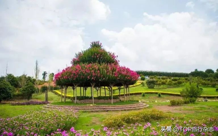 长沙遛娃游玩,长沙遛娃月亮岛