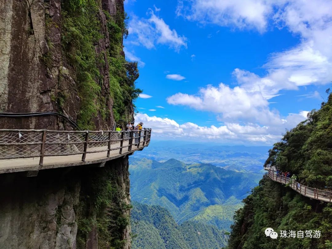 莽山五指峰景区,蟒山国家森林公园旅游攻略