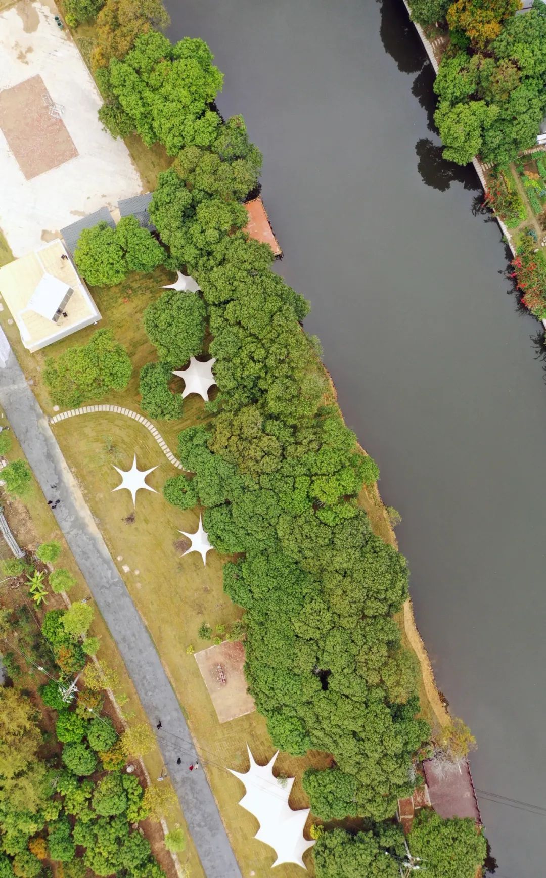 当古诗词遇到秋天有多美,当古诗词遇上莆田方言